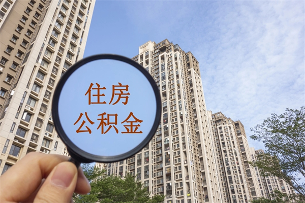 沅江深圳公积金（深圳公积金首页）